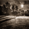 4817E358-DF77-44C1-90EF-5CBE3FF3967A