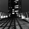 Metropolis
